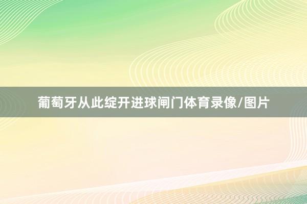 葡萄牙从此绽开进球闸门体育录像/图片