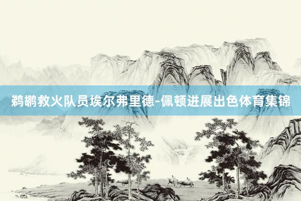 鹈鹕救火队员埃尔弗里德-佩顿进展出色体育集锦