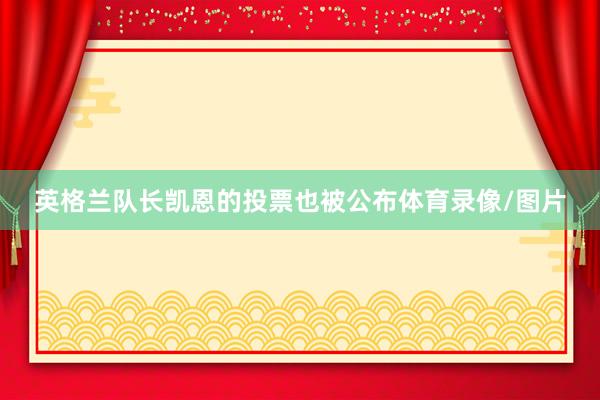 英格兰队长凯恩的投票也被公布体育录像/图片