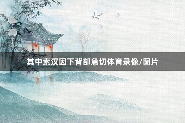 其中索汉因下背部急切体育录像/图片