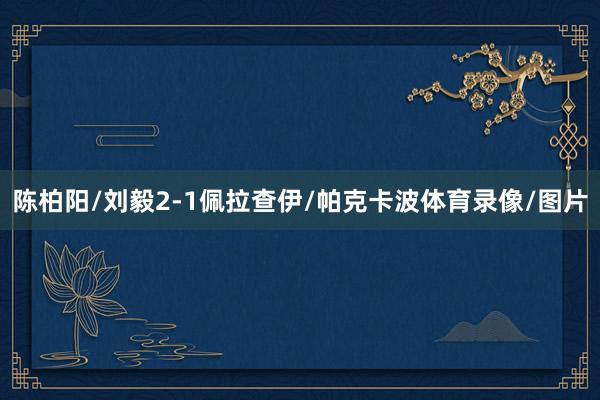 陈柏阳/刘毅2-1佩拉查伊/帕克卡波体育录像/图片