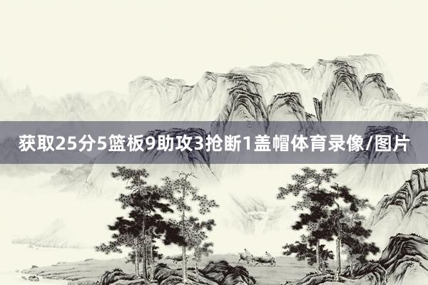 获取25分5篮板9助攻3抢断1盖帽体育录像/图片