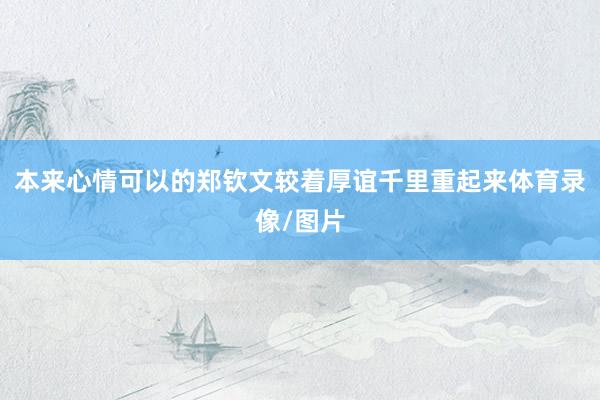 本来心情可以的郑钦文较着厚谊千里重起来体育录像/图片