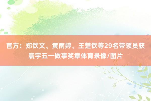 官方：郑钦文、黄雨婷、王楚钦等29名带领员获寰宇五一做事奖章体育录像/图片