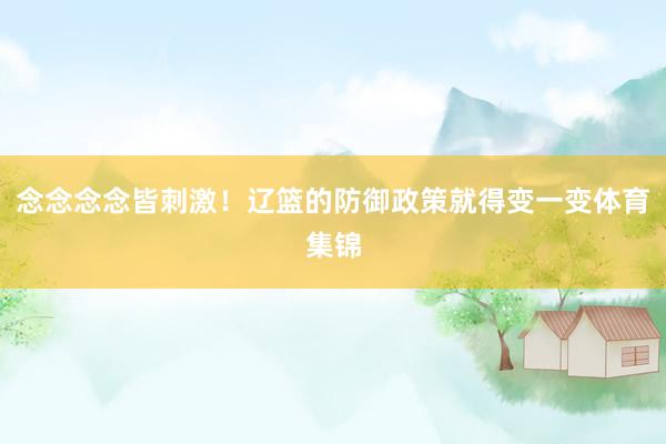 念念念念皆刺激！辽篮的防御政策就得变一变体育集锦