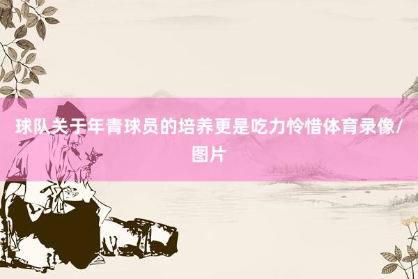 球队关于年青球员的培养更是吃力怜惜体育录像/图片