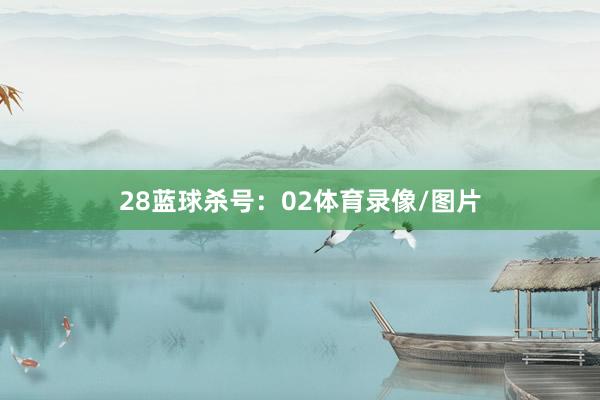 28　　蓝球杀号：02体育录像/图片