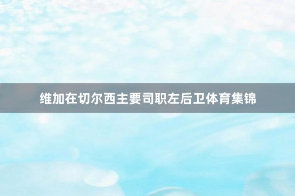 维加在切尔西主要司职左后卫体育集锦