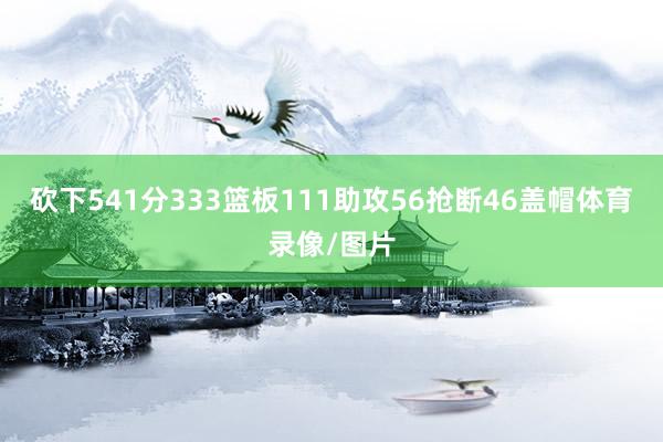 砍下541分333篮板111助攻56抢断46盖帽体育录像/图片