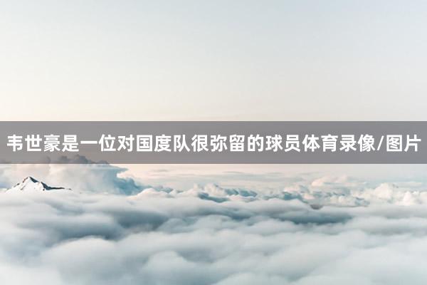 韦世豪是一位对国度队很弥留的球员体育录像/图片