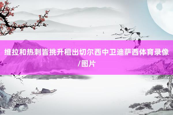 维拉和热刺皆挑升租出切尔西中卫迪萨西体育录像/图片