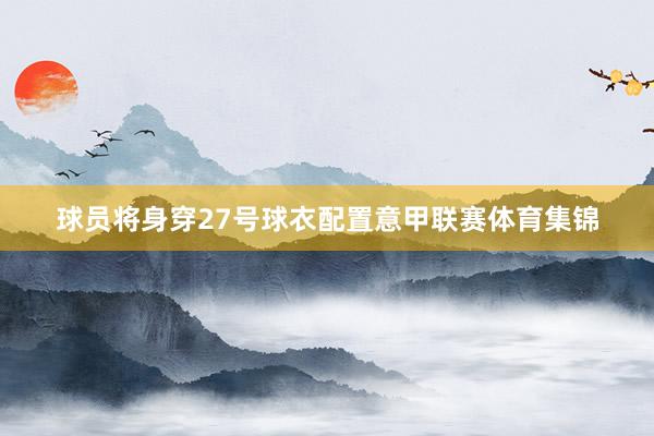 球员将身穿27号球衣配置意甲联赛体育集锦