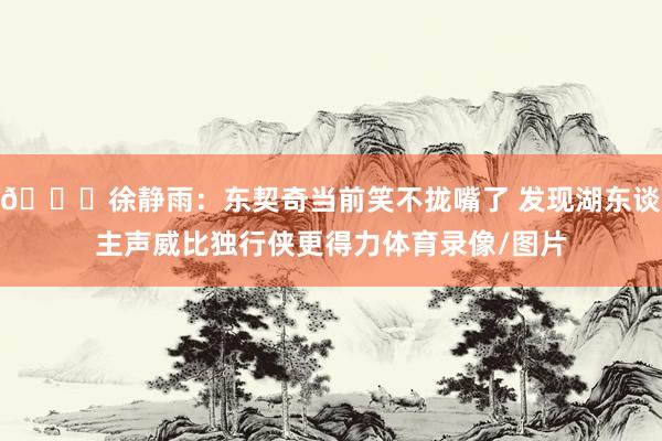 😍徐静雨：东契奇当前笑不拢嘴了 发现湖东谈主声威比独行侠更得力体育录像/图片
