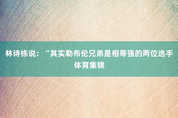 林诗栋说：“其实勒布伦兄弟是相等强的两位选手体育集锦
