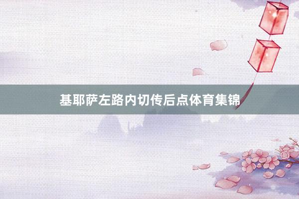 基耶萨左路内切传后点体育集锦