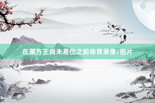 在黑方王尚未易位之前体育录像/图片