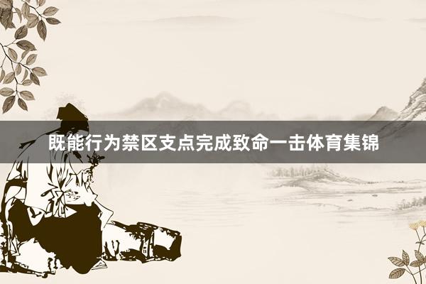 既能行为禁区支点完成致命一击体育集锦