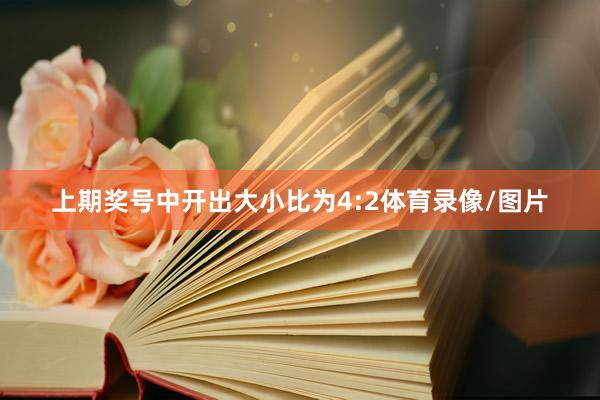 上期奖号中开出大小比为4:2体育录像/图片