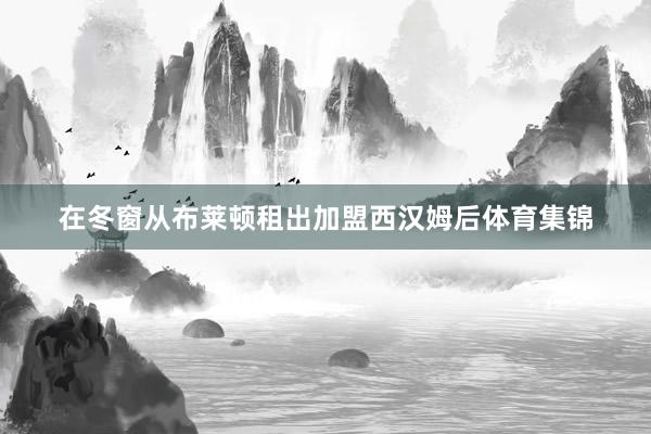 在冬窗从布莱顿租出加盟西汉姆后体育集锦