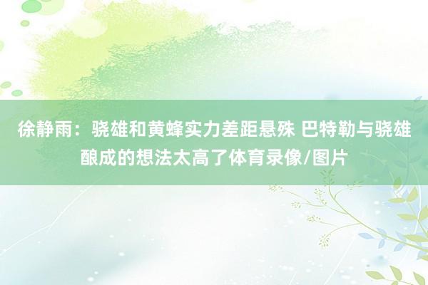 徐静雨：骁雄和黄蜂实力差距悬殊 巴特勒与骁雄酿成的想法太高了体育录像/图片