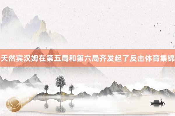 天然宾汉姆在第五局和第六局齐发起了反击体育集锦