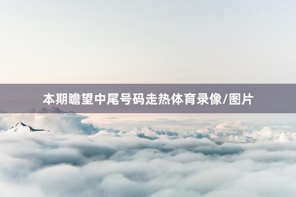 本期瞻望中尾号码走热体育录像/图片