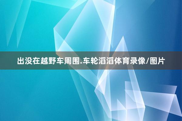 出没在越野车周围.车轮滔滔体育录像/图片