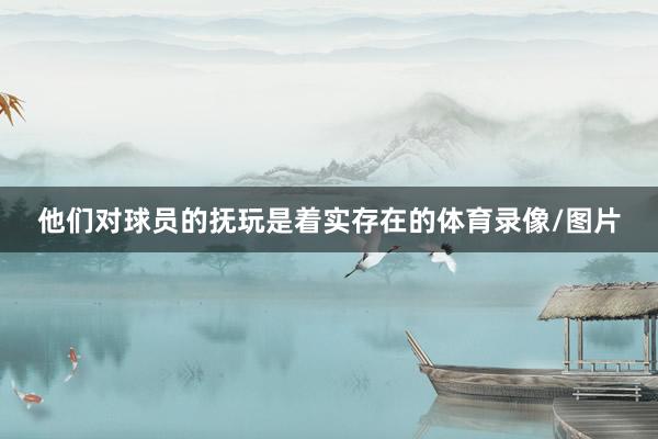 他们对球员的抚玩是着实存在的体育录像/图片