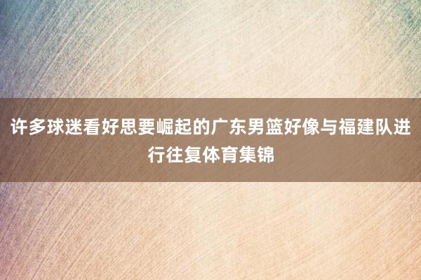 许多球迷看好思要崛起的广东男篮好像与福建队进行往复体育集锦