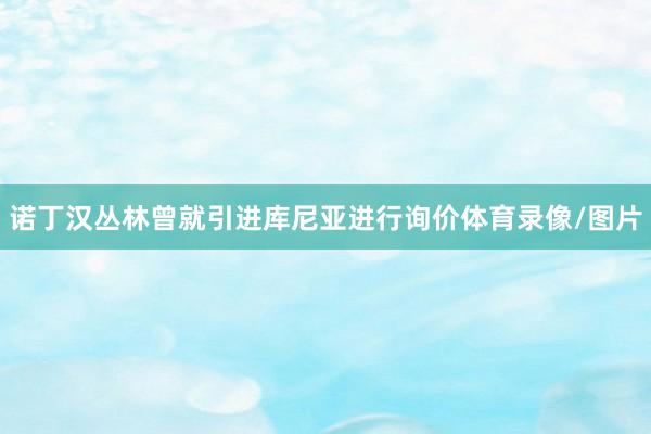 诺丁汉丛林曾就引进库尼亚进行询价体育录像/图片
