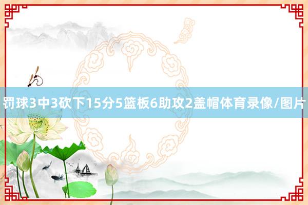 罚球3中3砍下15分5篮板6助攻2盖帽体育录像/图片