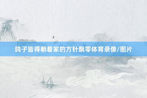 鸽子皆得朝着家的方针飘零体育录像/图片