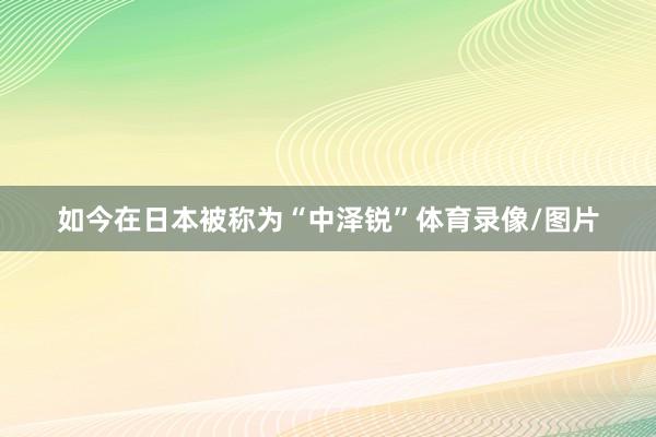 如今在日本被称为“中泽锐”体育录像/图片