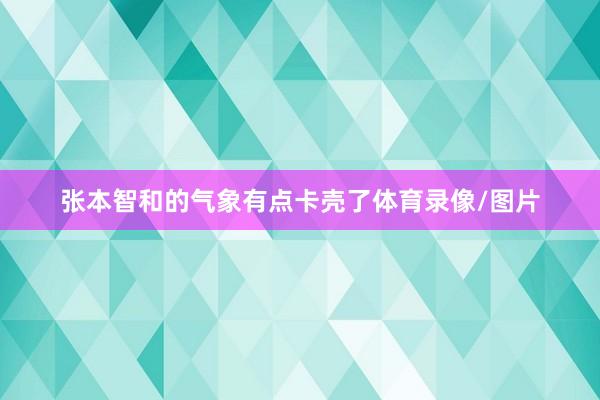 张本智和的气象有点卡壳了体育录像/图片