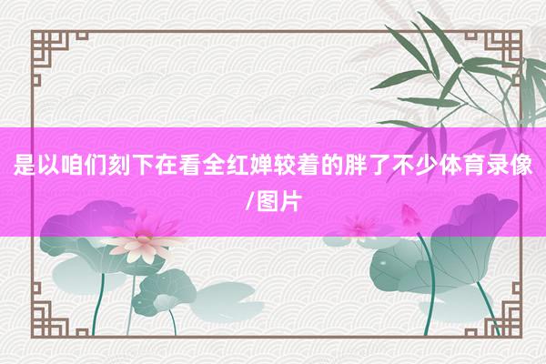是以咱们刻下在看全红婵较着的胖了不少体育录像/图片