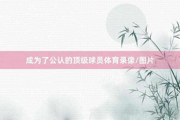 成为了公认的顶级球员体育录像/图片
