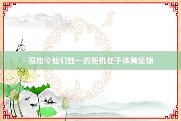 现如今他们独一的契机在于体育集锦