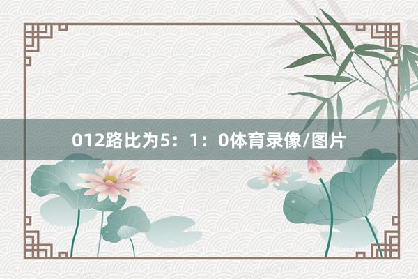 012路比为5：1：0体育录像/图片