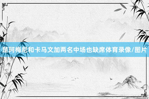 楚阿梅尼和卡马文加两名中场也缺席体育录像/图片