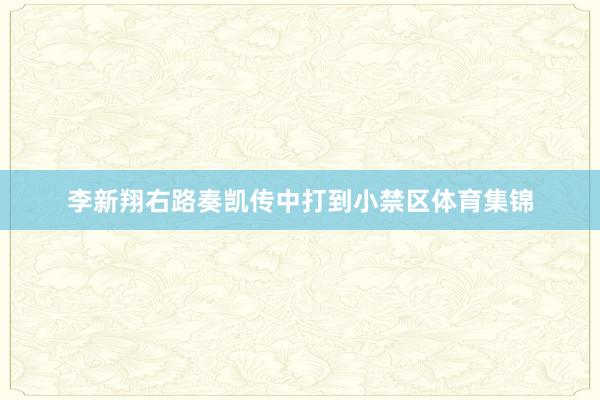 李新翔右路奏凯传中打到小禁区体育集锦