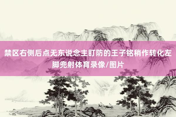 禁区右侧后点无东说念主盯防的王子铭稍作转化左脚兜射体育录像/图片