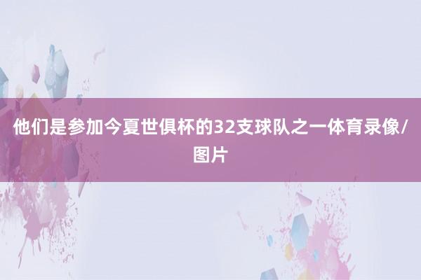 他们是参加今夏世俱杯的32支球队之一体育录像/图片