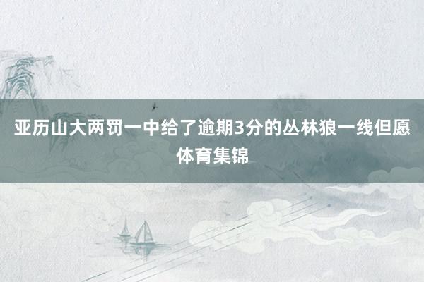 亚历山大两罚一中给了逾期3分的丛林狼一线但愿体育集锦