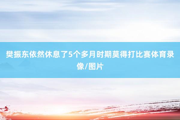 樊振东依然休息了5个多月时期莫得打比赛体育录像/图片