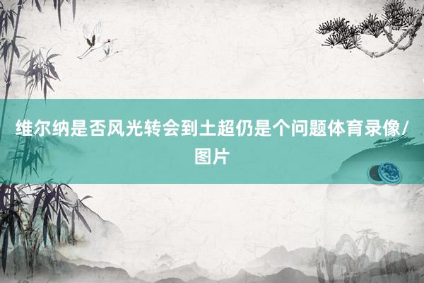 维尔纳是否风光转会到土超仍是个问题体育录像/图片