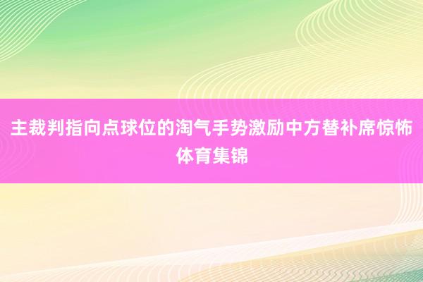 主裁判指向点球位的淘气手势激励中方替补席惊怖体育集锦