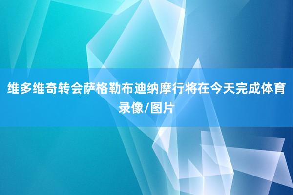 维多维奇转会萨格勒布迪纳摩行将在今天完成体育录像/图片