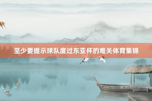 至少要提示球队度过东亚杯的难关体育集锦