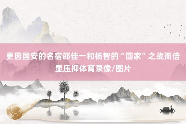 更因国安的名宿邵佳一和杨智的“回家”之战而倍显压抑体育录像/图片
