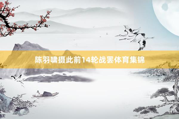 陈羽啸摄此前14轮战罢体育集锦
